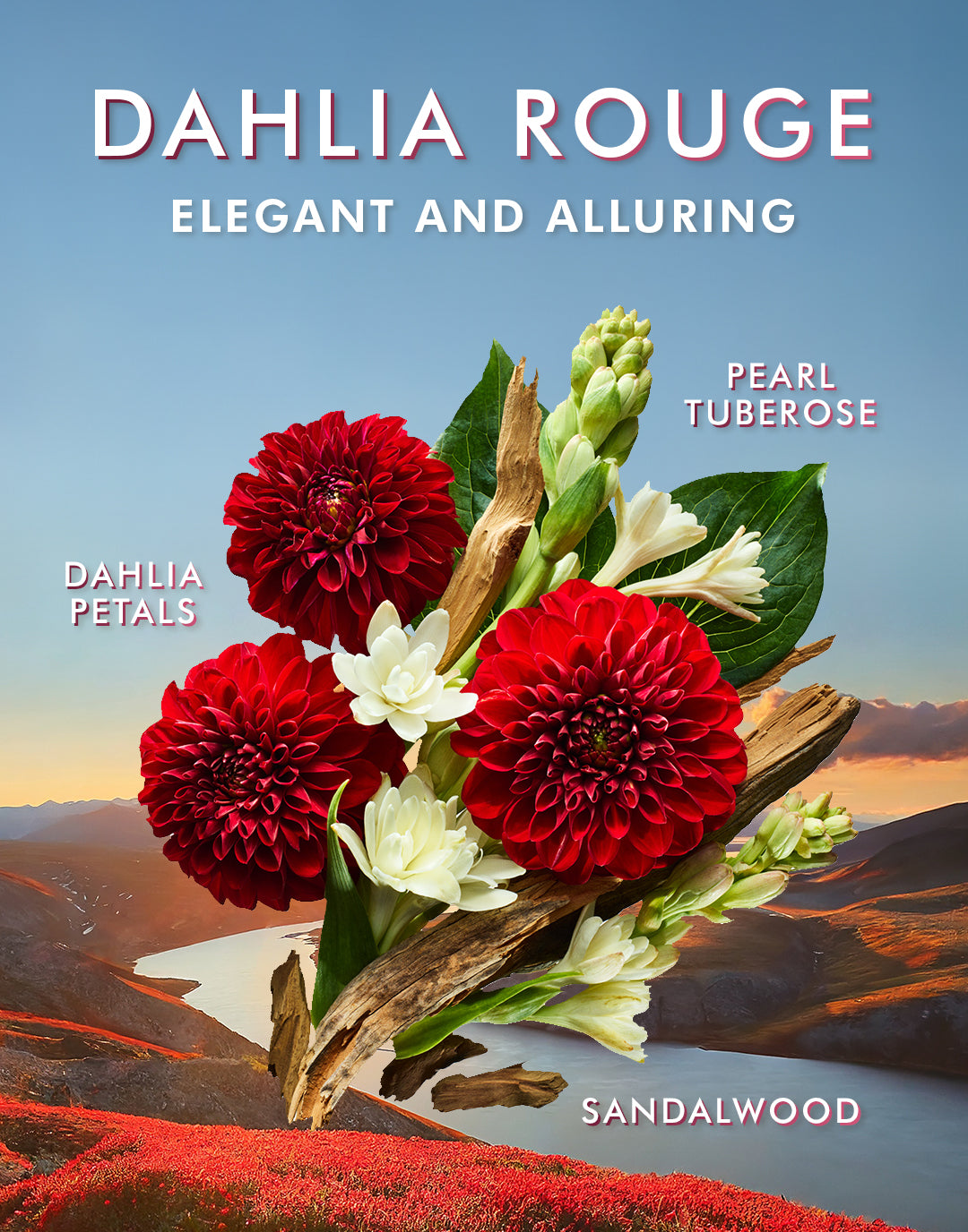 Dahlia Rouge Körperpflegeset